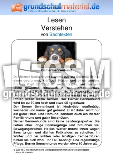 Berner Sennenhund.pdf